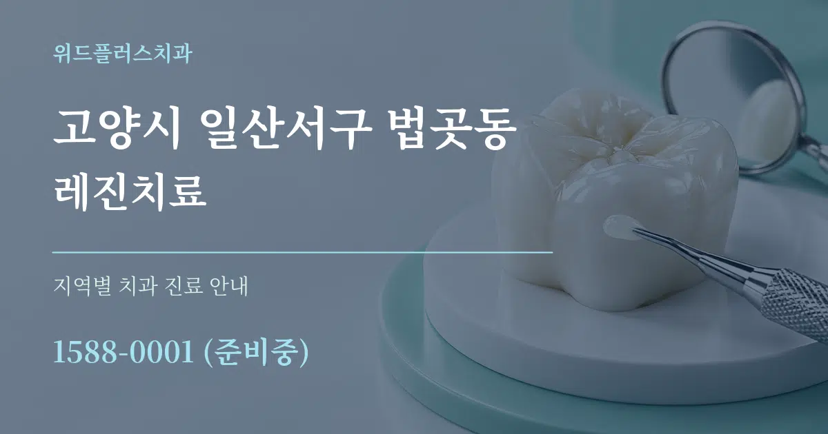고양시 일산서구 법곳동 레진치료 대표 안내 그래픽
