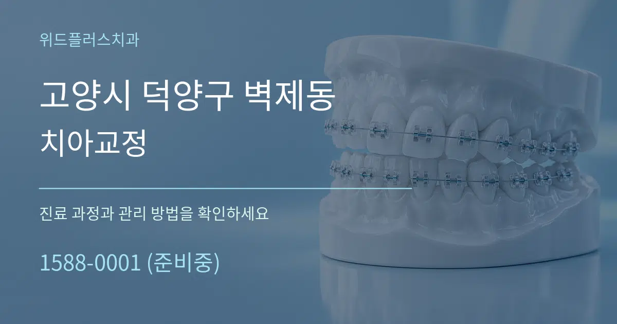 고양시 덕양구 벽제동 치아교정 서비스 이용 안내 그래픽