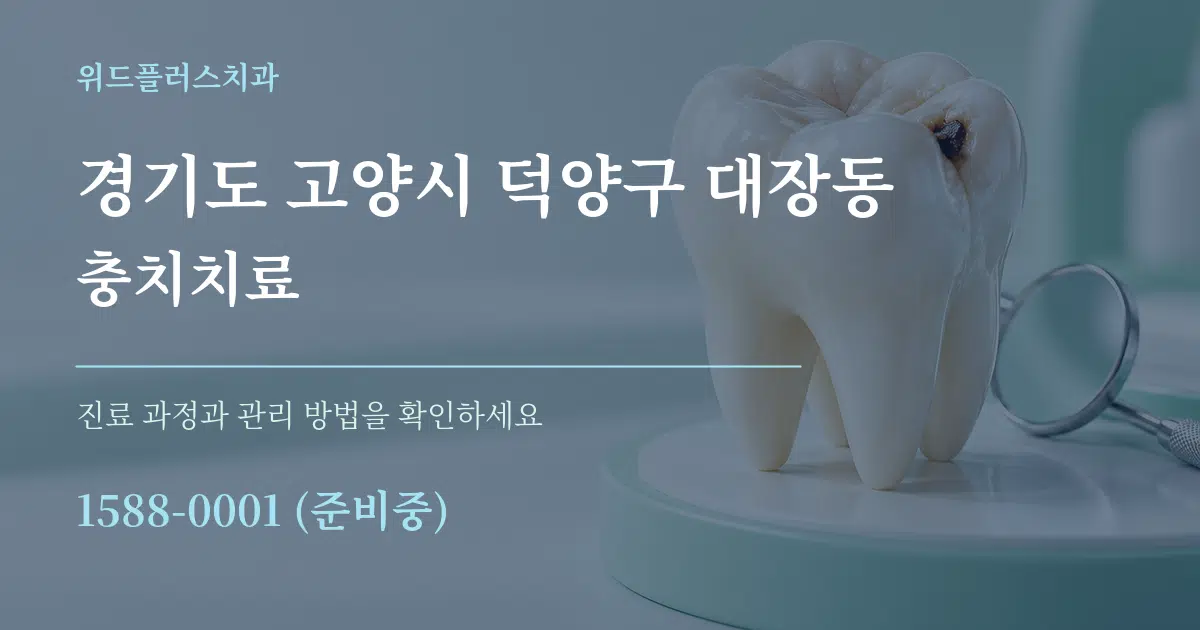 경기도 고양시 덕양구 대장동 충치치료 작업 조건 안내 그래픽