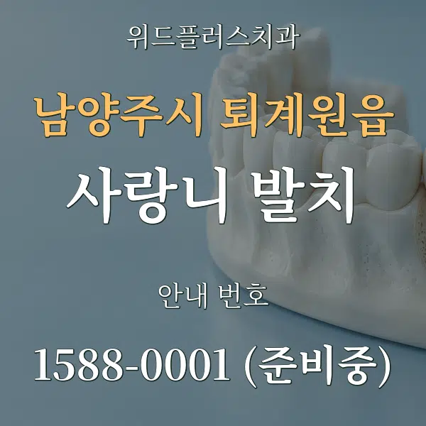 남양주시 퇴계원읍 사랑니 발치 대표 안내 그래픽