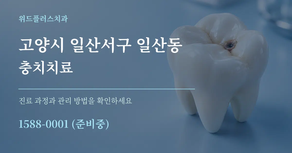 고양시 일산서구 일산동 충치치료 서비스 이용 안내 그래픽