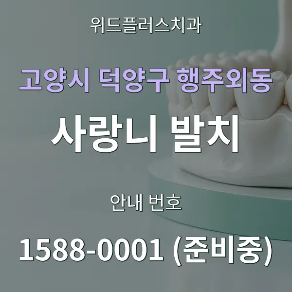 고양시 덕양구 행주외동 사랑니 발치 대표 안내 그래픽