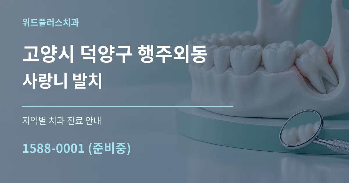 고양시 덕양구 행주외동 사랑니 발치 대표 안내 그래픽