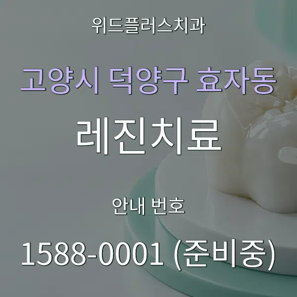 고양시 덕양구 효자동 레진치료 대표 안내 그래픽