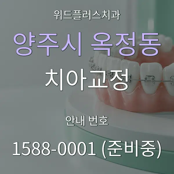 양주시 옥정동 치아교정 대표 안내 그래픽