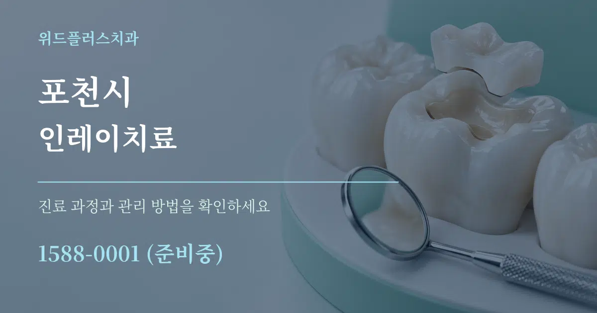 포천시 인레이치료 서비스 이용 안내 그래픽