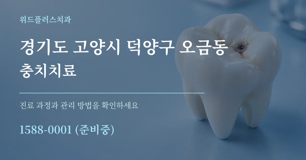 경기도 고양시 덕양구 오금동 충치치료 서비스 이용 안내 그래픽