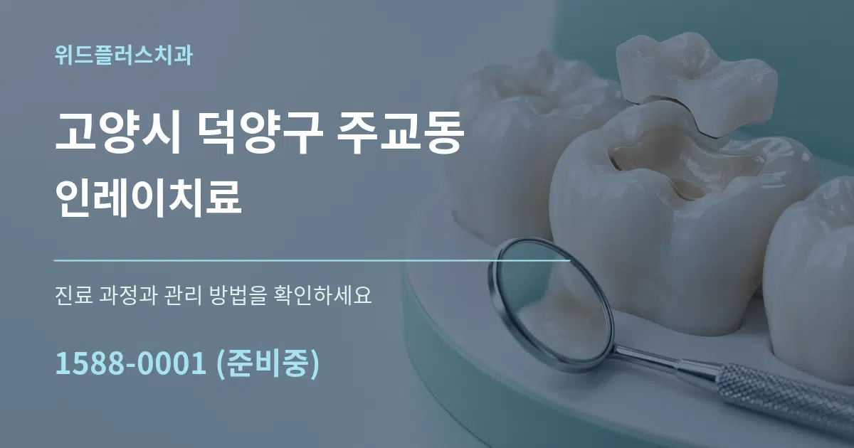 고양시 덕양구 주교동 인레이치료 작업 조건 안내 그래픽