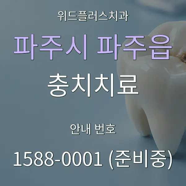 파주시 파주읍 충치치료 대표 안내 그래픽