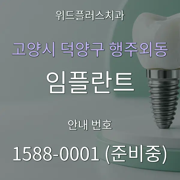 고양시 덕양구 행주외동 임플란트 대표 안내 그래픽