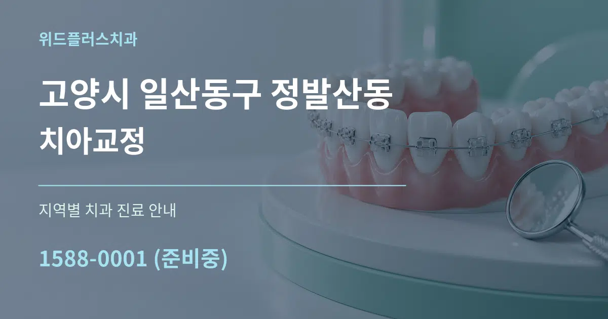 고양시 일산동구 정발산동 치아교정 대표 안내 그래픽