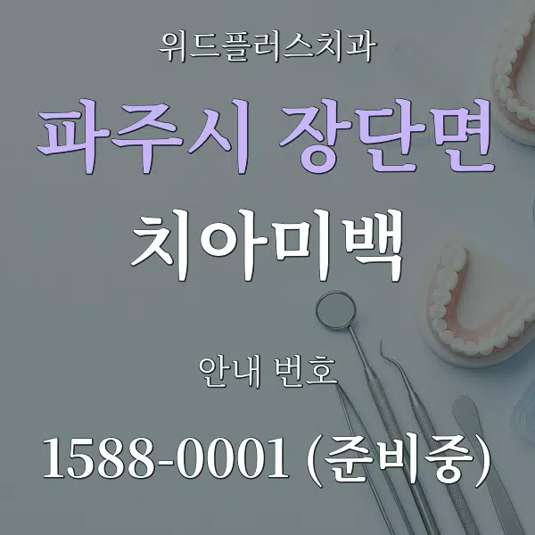 파주시 장단면 치아미백 대표 안내 그래픽