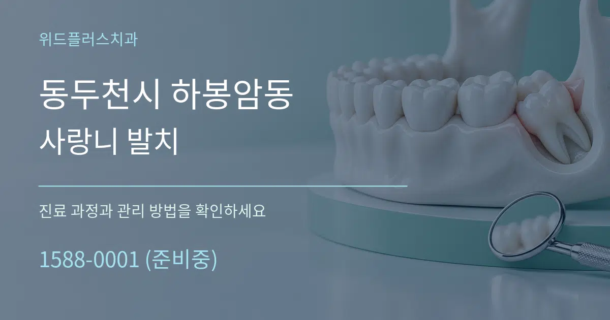 동두천시 하봉암동 사랑니 발치 작업 조건 안내 그래픽