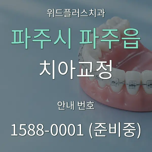 파주시 파주읍 치아교정 대표 안내 그래픽