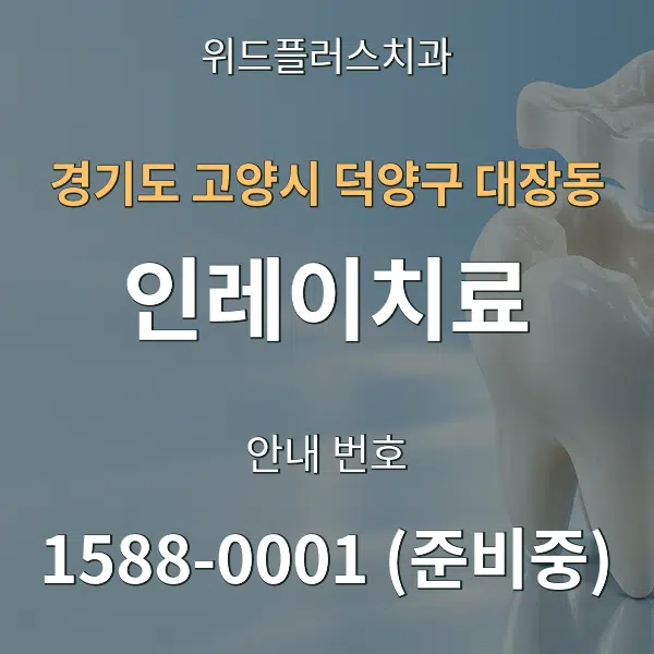 경기도 고양시 덕양구 대장동 인레이치료 대표 안내 그래픽
