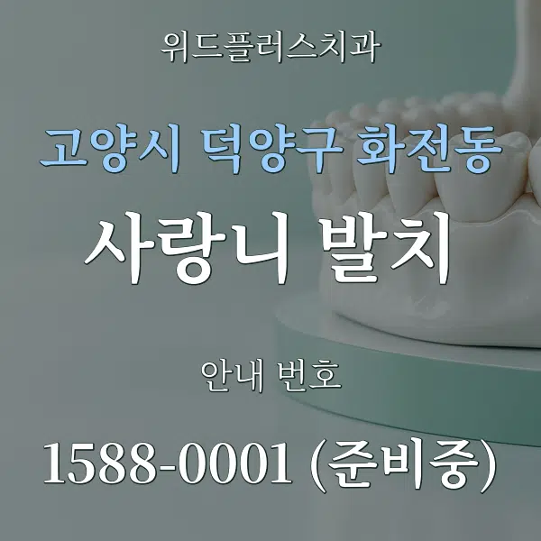 고양시 덕양구 화전동 사랑니 발치 대표 안내 그래픽