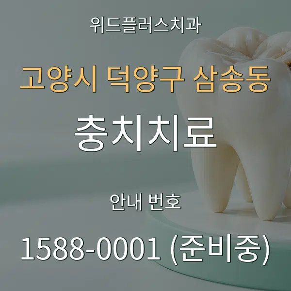 고양시 덕양구 삼송동 충치치료 대표 안내 그래픽