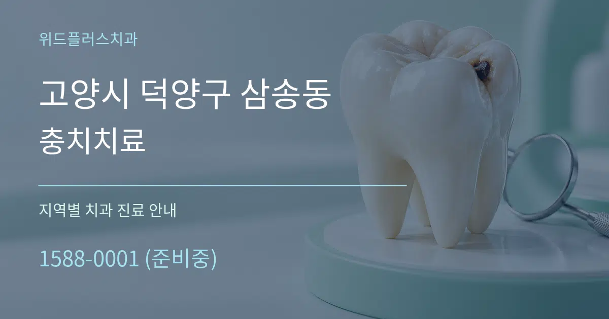고양시 덕양구 삼송동 충치치료 대표 안내 그래픽