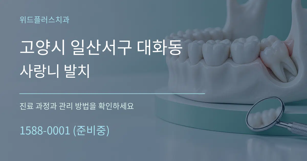 고양시 일산서구 대화동 사랑니 발치 작업 조건 안내 그래픽