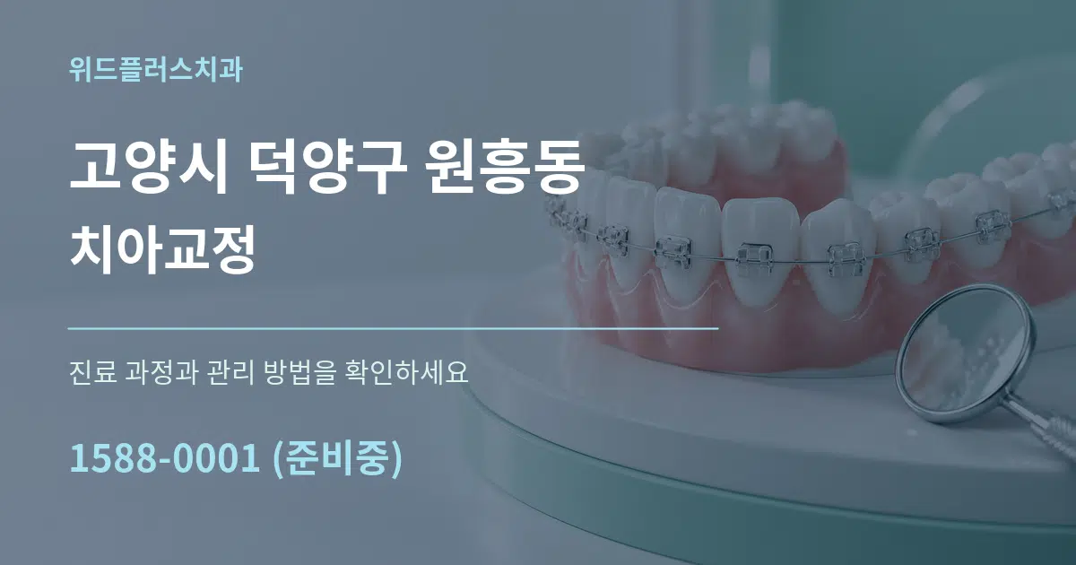 고양시 덕양구 원흥동 치아교정 작업 조건 안내 그래픽