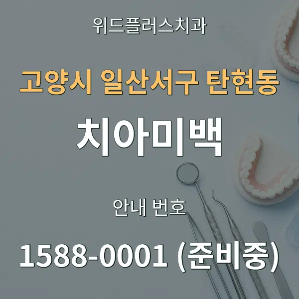 고양시 일산서구 탄현동 치아미백 대표 안내 그래픽