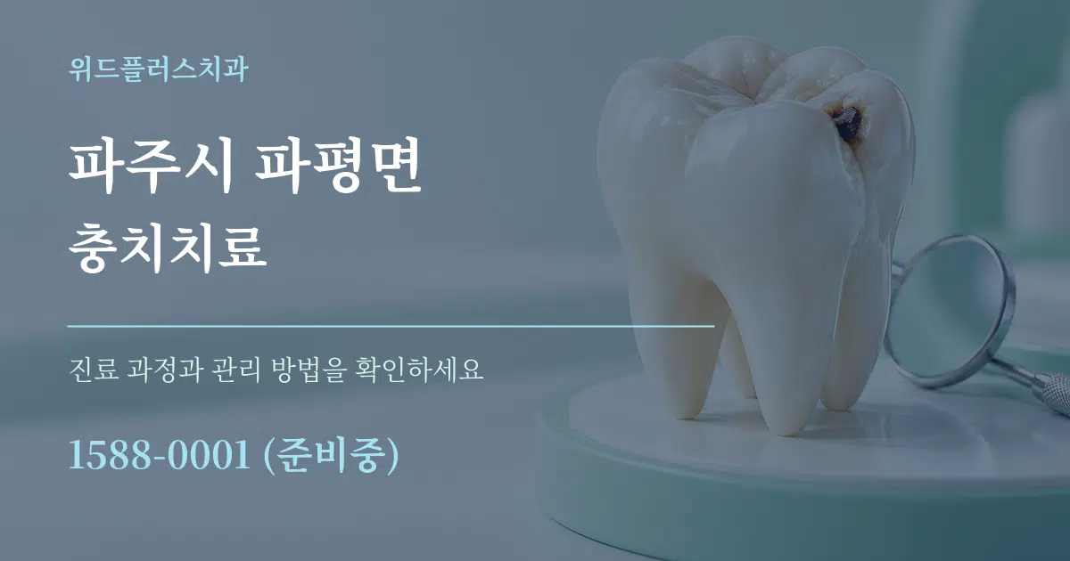 파주시 파평면 충치치료 서비스 이용 안내 그래픽