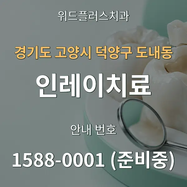 경기도 고양시 덕양구 도내동 인레이치료 대표 안내 그래픽