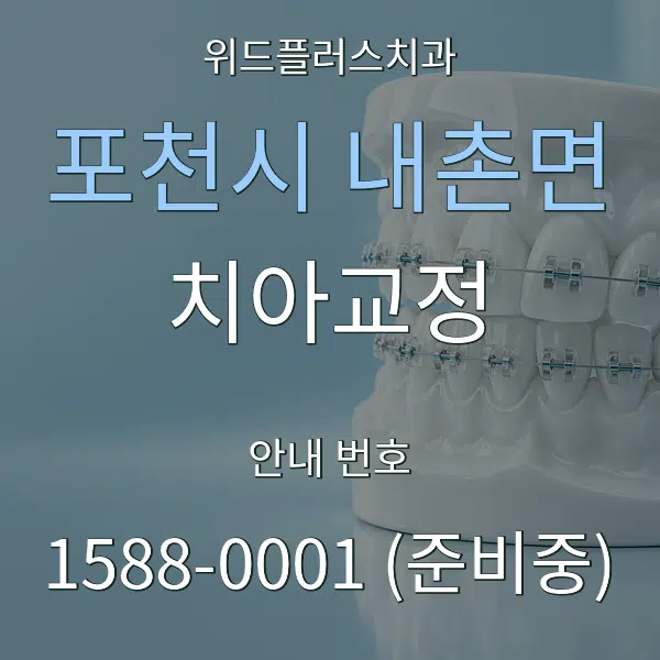 포천시 내촌면 치아교정 대표 안내 그래픽