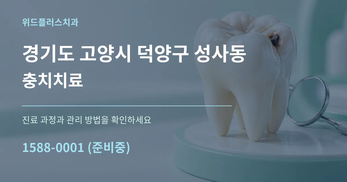 경기도 고양시 덕양구 성사동 충치치료 서비스 이용 안내 그래픽