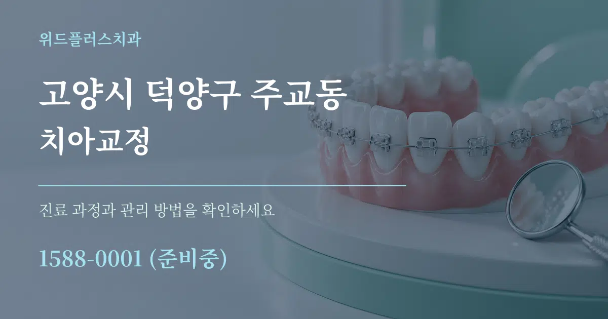 고양시 덕양구 주교동 치아교정 작업 조건 안내 그래픽