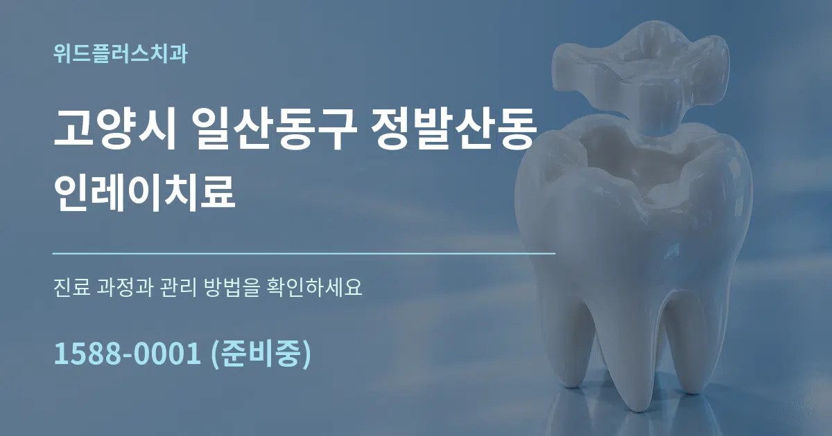 고양시 일산동구 정발산동 인레이치료 서비스 이용 안내 그래픽