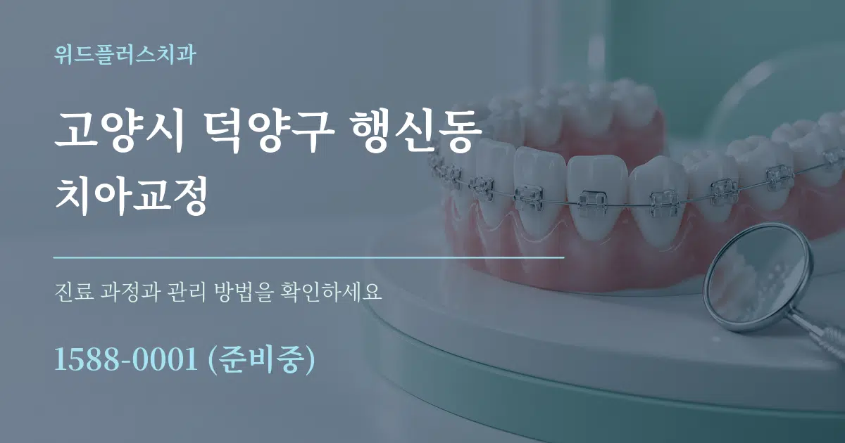 고양시 덕양구 행신동 치아교정 작업 조건 안내 그래픽