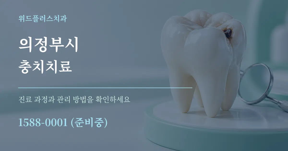 의정부시 충치치료 서비스 이용 안내 그래픽