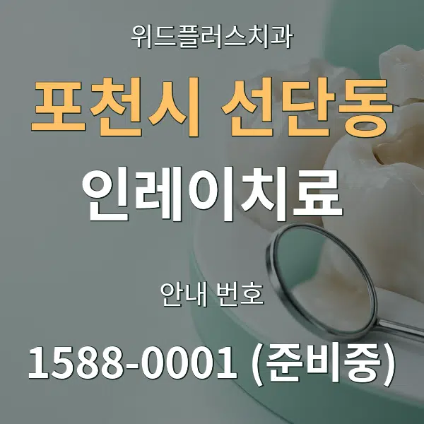 포천시 선단동 인레이치료 대표 안내 그래픽