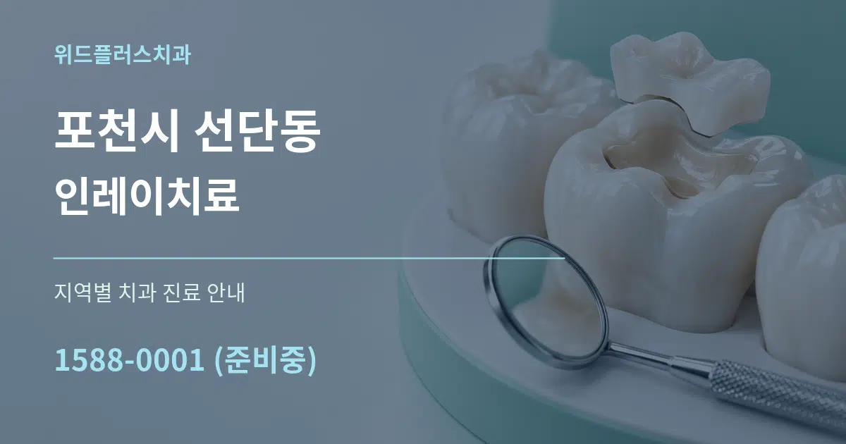 포천시 선단동 인레이치료 대표 안내 그래픽