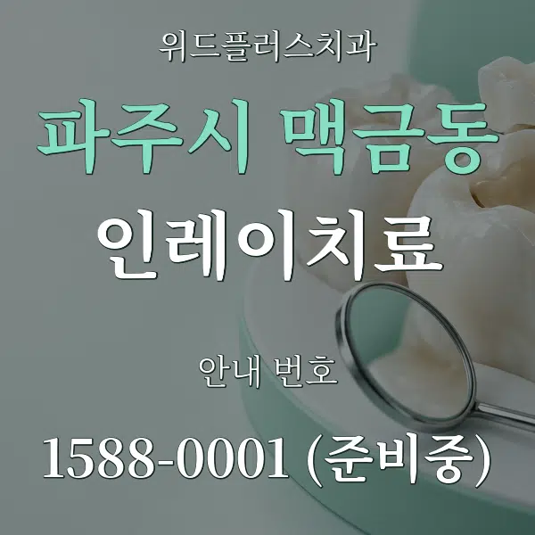 파주시 맥금동 인레이치료 대표 안내 그래픽