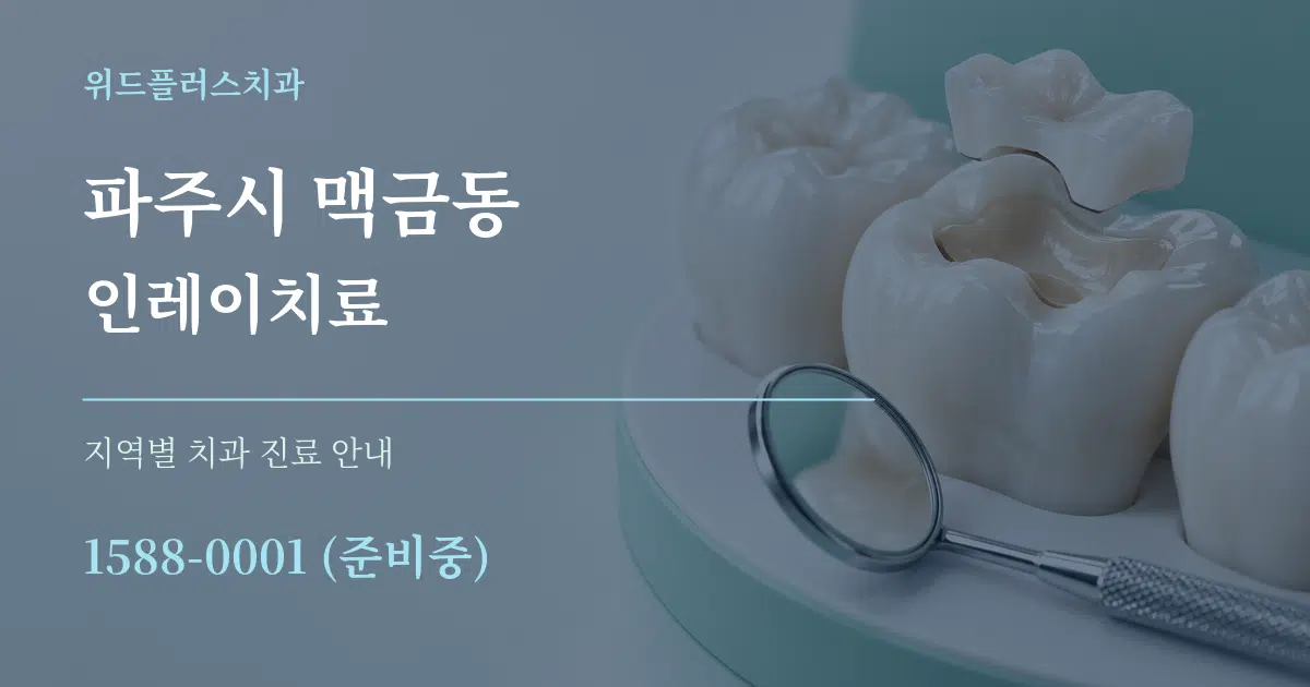 파주시 맥금동 인레이치료 대표 안내 그래픽