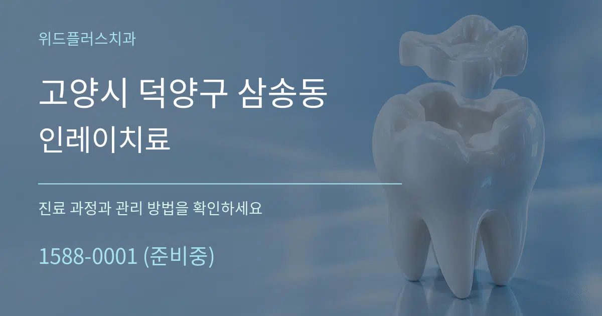 고양시 덕양구 삼송동 인레이치료 서비스 이용 안내 그래픽