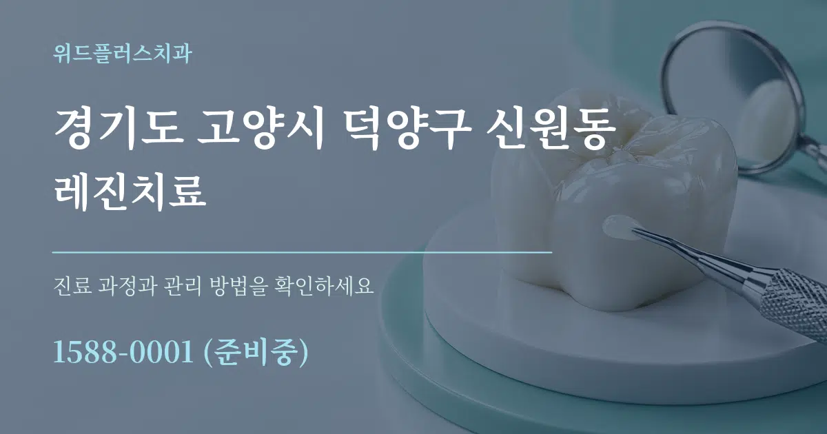 경기도 고양시 덕양구 신원동 레진치료 서비스 이용 안내 그래픽