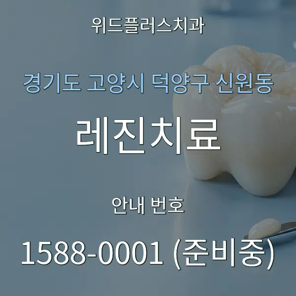 경기도 고양시 덕양구 신원동 레진치료 대표 안내 그래픽