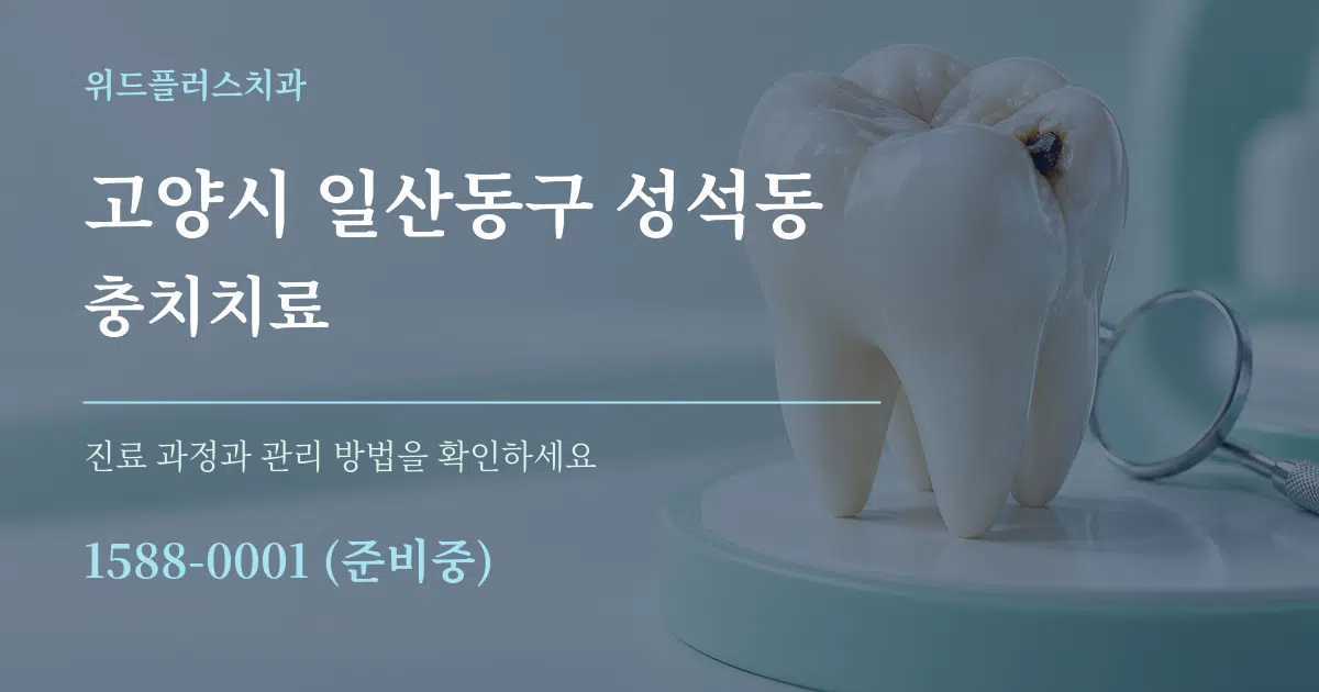 고양시 일산동구 성석동 충치치료 서비스 이용 안내 그래픽