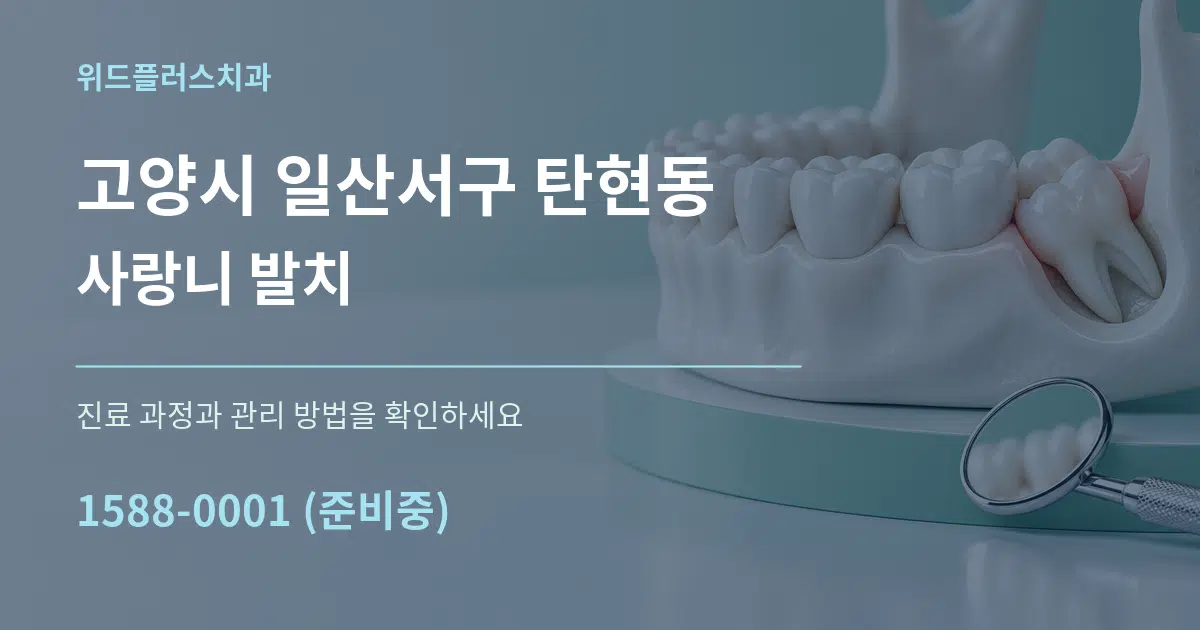 고양시 일산서구 탄현동 사랑니 발치 서비스 이용 안내 그래픽
