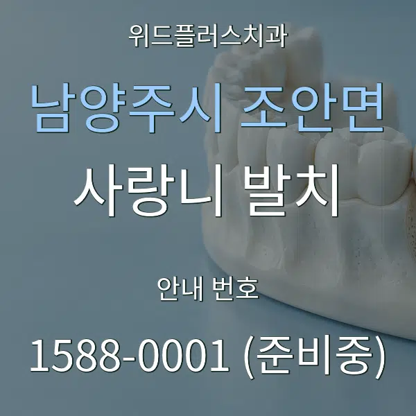 남양주시 조안면 사랑니 발치 대표 안내 그래픽