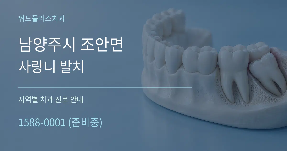 남양주시 조안면 사랑니 발치 대표 안내 그래픽