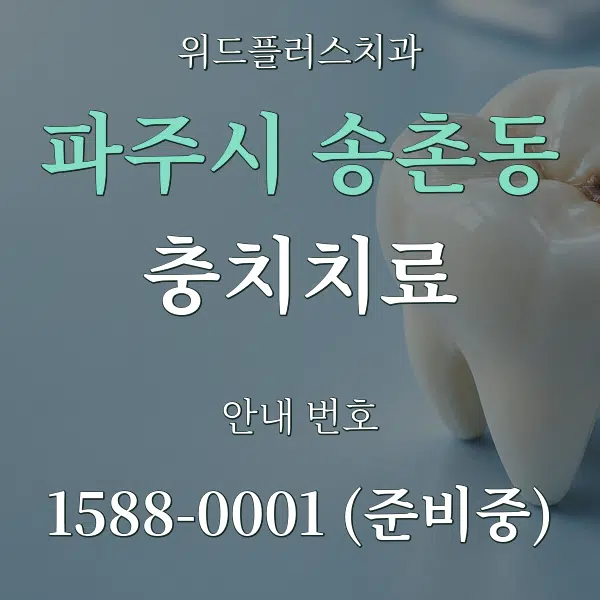 파주시 송촌동 충치치료 대표 안내 그래픽