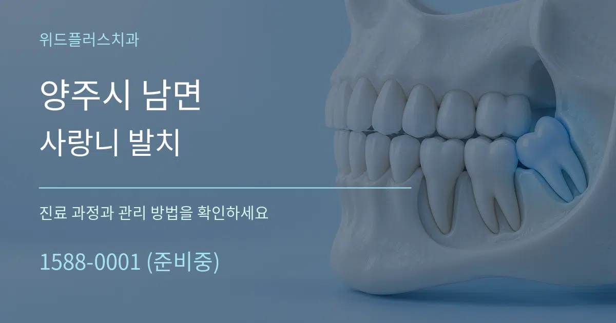양주시 남면 사랑니 발치 서비스 이용 안내 그래픽