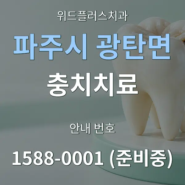 파주시 광탄면 충치치료 대표 안내 그래픽