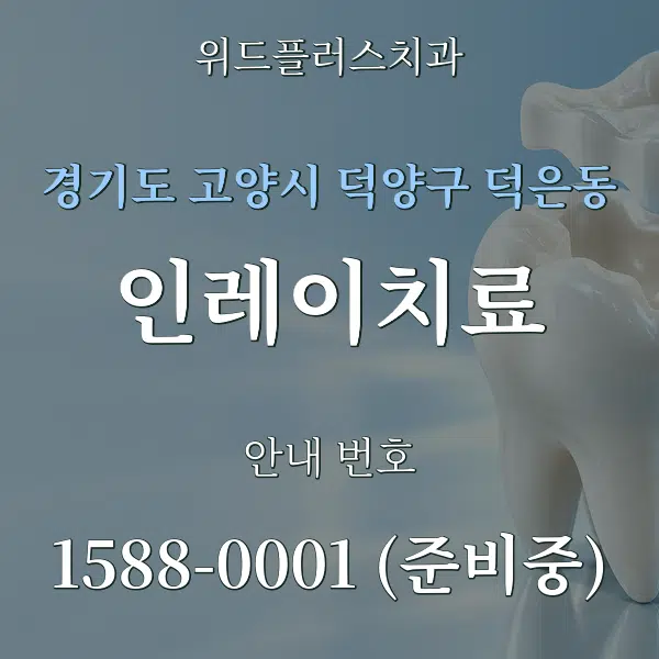 경기도 고양시 덕양구 덕은동 인레이치료 대표 안내 그래픽