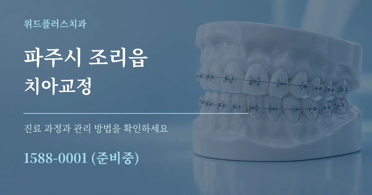 파주시 조리읍 치아교정 서비스 이용 안내 그래픽