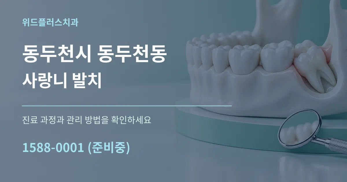 동두천시 동두천동 사랑니 발치 작업 조건 안내 그래픽